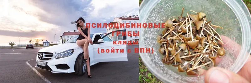 купить наркотик  Югорск  omg зеркало  Псилоцибиновые грибы Magic Shrooms 